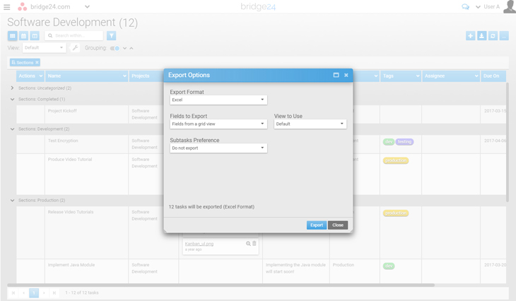 Bridge24 Export Options Panel